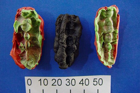 I calchi dei chewing gum preistorici mostrano le impronte dei denti (fonte: Verner Alexandersen)