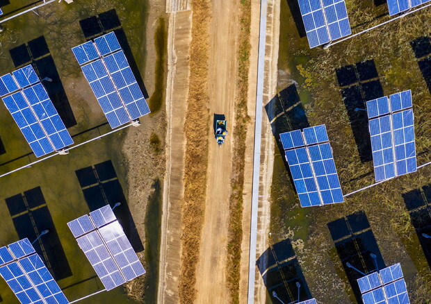 Via libera Ue a 1,2 miliardi di aiuti al fotovoltaico in agricoltura (foto: ANSA)
