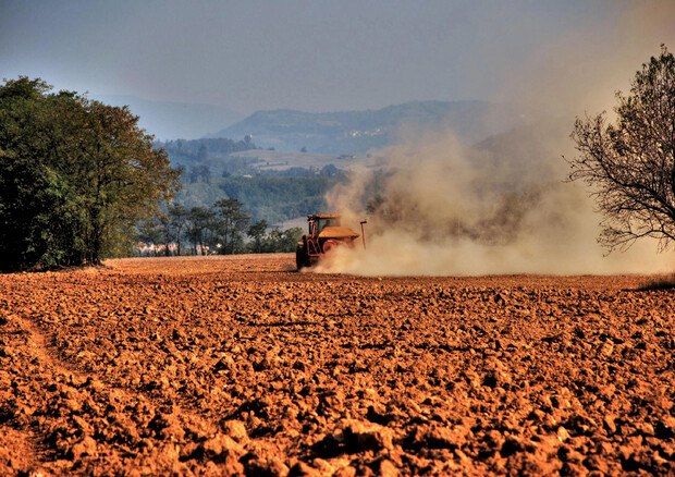 Via libera dall'Ue a modifica aiuti da 800 milioni per agricoltura in Italia (foto: ANSA)