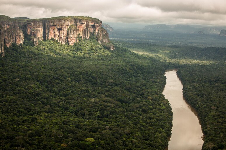 Amazzonia, Intelligenza Artificiale contro la deforestazione - RIPRODUZIONE RISERVATA