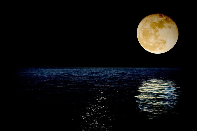 Una superluna, ossia una Luna piena che si trova nel punto della sua orbita più vicino alla Terra (fonte: CristianFerronato, Pixabay) - RIPRODUZIONE RISERVATA