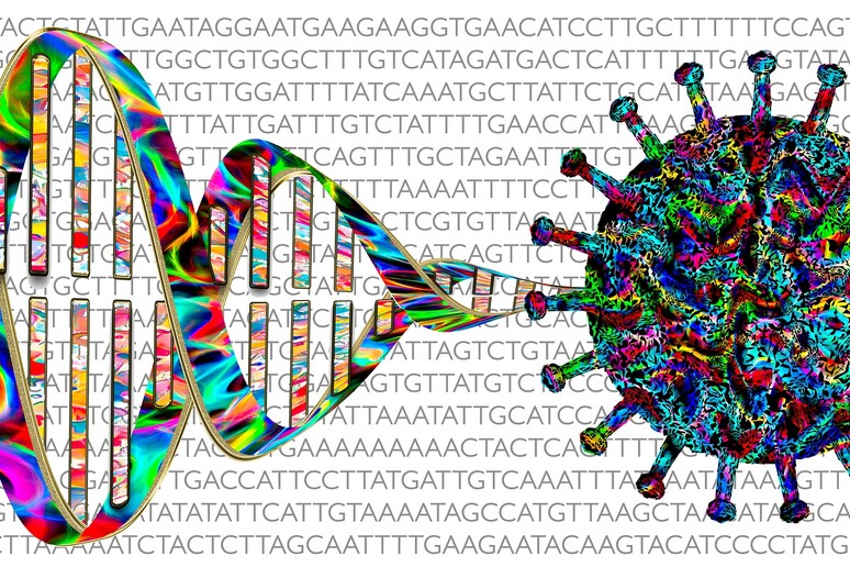 Covid, urgente accelerare la condivisione dei dati genetici  (fonte: Marek Studzinski/Pixabay) - RIPRODUZIONE RISERVATA