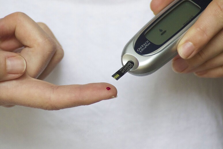 Diabete, il 9,5% dei casi in Usa non è diagnosticato (fonte: Pixabay) - RIPRODUZIONE RISERVATA