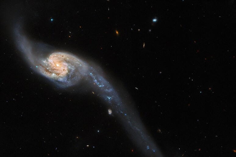 Il ponte intergalattico ripreso da Hubble (fonte: ESA/Hubble &amp; NASA, Dark Energy Survey/DOE/FNAL/DECam/CTIO/NOIRLab/NSF/AURA, J. Dalcanton) - RIPRODUZIONE RISERVATA