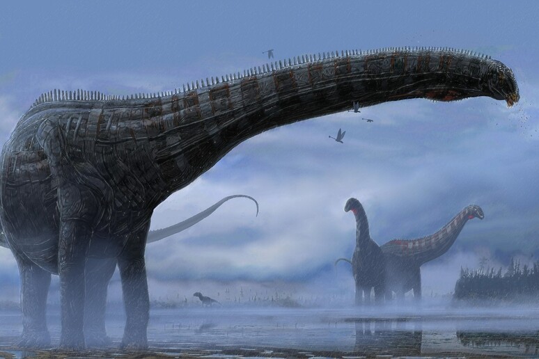 Anche i dinosauri avevano la tosse, lo rivela un fossile (fonte: Woodruff et al. (2022) and Corbin Rainbolt.) - RIPRODUZIONE RISERVATA