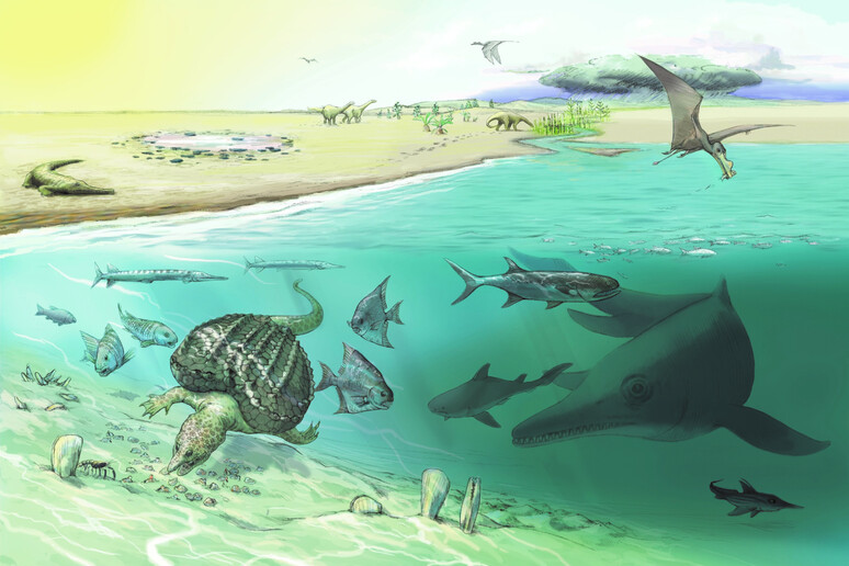 Rappresentazione artistica dell 'ittiosauto gigante e del suo habitat (fonte: Heinz Furrer) - RIPRODUZIONE RISERVATA
