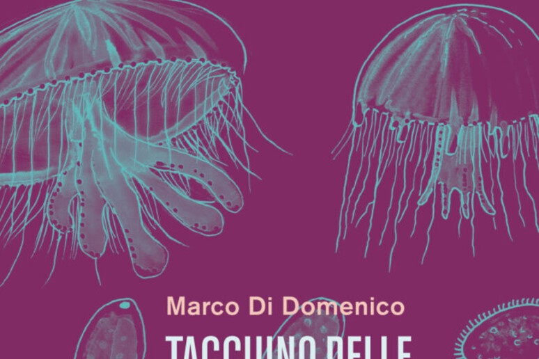 ‘Taccuino delle metamorfosi’ di Marco Di Domenico (Codice Edizioni, 292 pagine, 21 euro) - RIPRODUZIONE RISERVATA