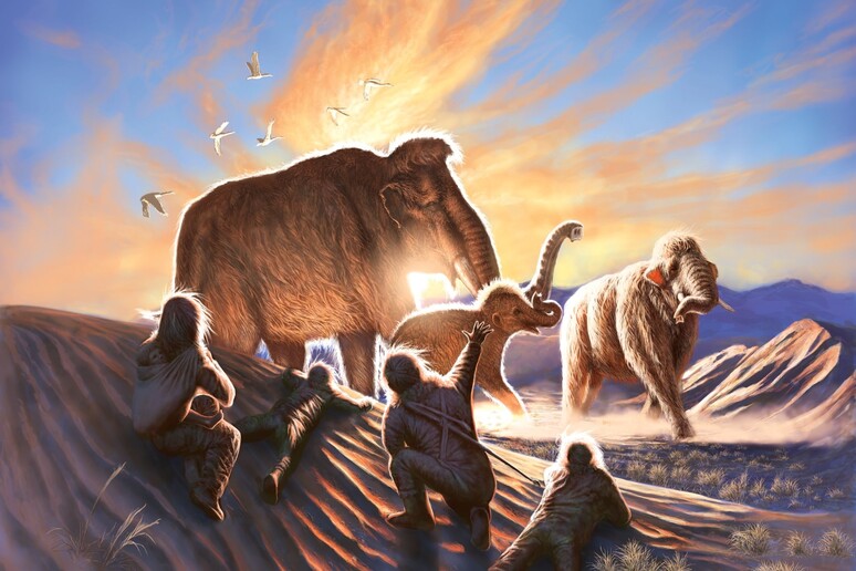 La femmina di mammut Elma sarebbe morta dopo l’incontro con i primi umani in Alaska (fonte: Julius Csostonyi) -     RIPRODUZIONE RISERVATA
