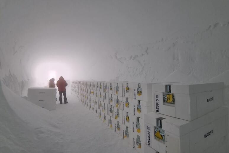 In Antartide si è conclusa con successo un’altra campagna di perforazione del progetto Beyond Epica (fonte: Beyond EPICA©PNRA/IPEV) -     RIPRODUZIONE RISERVATA