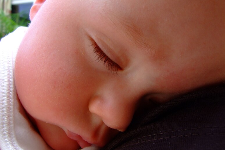 Durante il sonno il cervello si purifica (fonte: xlibber, da Wikipedia) -     RIPRODUZIONE RISERVATA