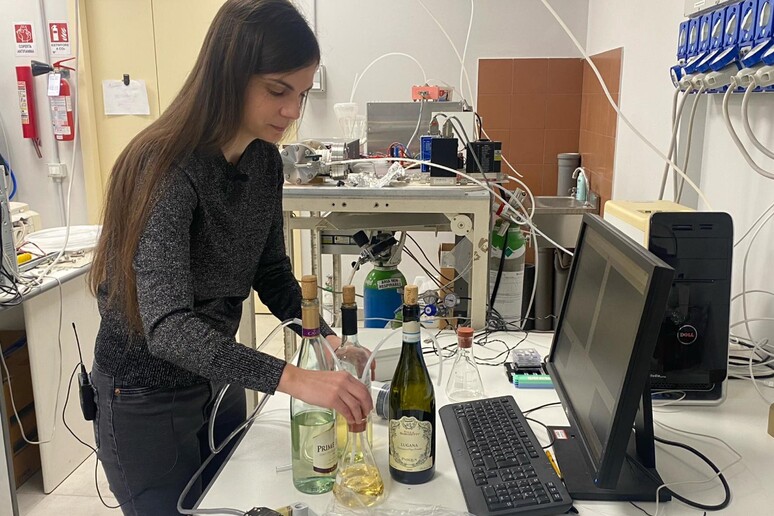 Un naso elettronico per certificare la qualità del vino -     RIPRODUZIONE RISERVATA
