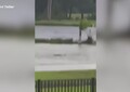 Uragano Ian, squalo nuota nelle strade allagate in Florida