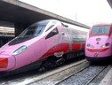 Un'immagine di archivio del treno rosa in partenza dalla stazione Termini di Roma (ANSA)