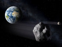 I Neoavenger vigilano contro i rischi di un impatto di asteroidi (fonte: ESA) (ANSA)