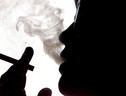 Fumo passivo, rischio asma bimbi se padre è stato esposto (ANSA)