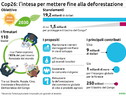 Il patto della Cop26, 20 miliardi di dollari per salvare le foreste (ANSA)