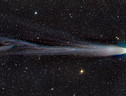 La coda della cometa Leonard fotografata a Natale (fonte: R.Ligustri CARA Project CAST e L.Demetz) (ANSA)