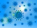 Covid-19, l'indice di contagio ha superato la soglia epidemica (fonte: Pixabay) (ANSA)