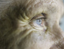 Lo sguardo di un'anziana, aumentati gli abusi durante la pandemia (ANSA)