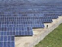 Industria rinnovabili, voto Pe è grande passo in avanti (ANSA)