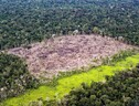 Da soia a gomma, stretta Ue sull’import da deforestazione (ANSA)