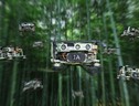 Sciami di droni smart sono ora in grado di volare in modo autonomo in un ambiente complesso come quello di una foresta (fonte: Zhou et al, 'Swarm of micro flying robots in the wild', Science Robotics, 4 maggio 2022, Vol.7, Issue 66) (ANSA)
