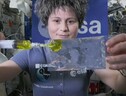 L'astronauta Samantha Cristoforetti in uno degli esperimenti durante il collegamento con gli studenti (fonte: ESA TV) (ANSA)