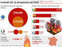 ‘Apocalisse caldo’ in Europa, a fuoco migliaia di ettari di bosco (1) (ANSA)
