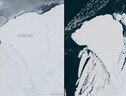 La piattaforma di ghiaccio Brunt prima e dopo il distacco dell'iceberg (fonte: modified Copernicus Sentinel data (2022-23), processed by ESA, CC BY-SA 3.0 IGO) (ANSA)