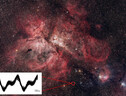 La stella variabile MarSEC2_V2 scoperta nella costellazione della Carena (fonte: UAI) (ANSA)