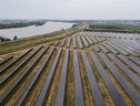 Da Bei da 80 milioni per il fotovoltaico in Spagna (ANSA)