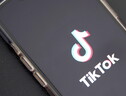 TikTok, etichette per identificare i contenuti generati dall'IA (ANSA)