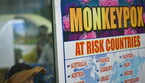 Vaiolo scimmie: Oms, emergenza sanitaria globale (ANSA)