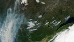 Il 3 giugno il fumo che si alzava dai focolai d'incendio nel Quebec è stato fotografato dal satellite Aqua della Nasa (fonte: NASA Earth Observatory. immagine di Lauren Dauphin, con i dati di MODIS da NASA EOSDIS LANCE e GIBS/Worldview) (ANSA)