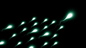 Rappresentazione artistica di spermatozoi (fonte: Gerd Altmann da Pixabay) (ANSA)