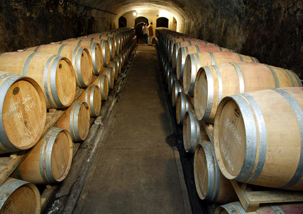 Covid: Coldiretti, la zona bianca vale 2,5 miliardi per il vino italiano © ANSA 