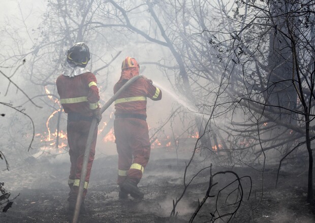 Il 2021 è stato l'anno peggiore per incendi boschivi in Ue dopo il 2017 © ANSA