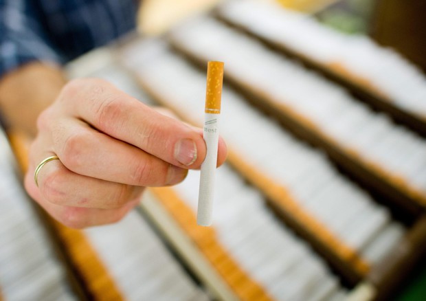 Tabacco: Polonia e Romania fra top producer sigarette in Ue © ANSA