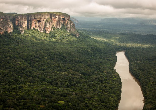 Amazzonia, Intelligenza Artificiale contro la deforestazione © ANSA