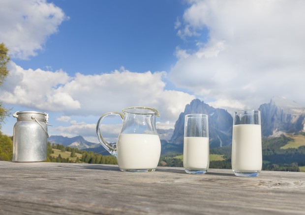 Il 1° giugno Giornata mondiale del latte, Europa prima per consumi © ANSA
