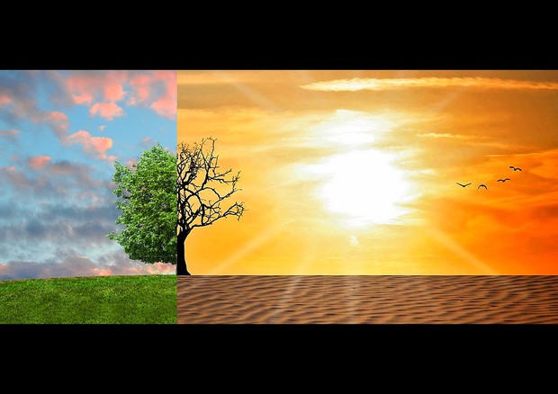 Secondo gli esperti il cambiamento climatico può trasformarsi in una catastrofe per l'umanità (fonte: Pixabay) © Ansa