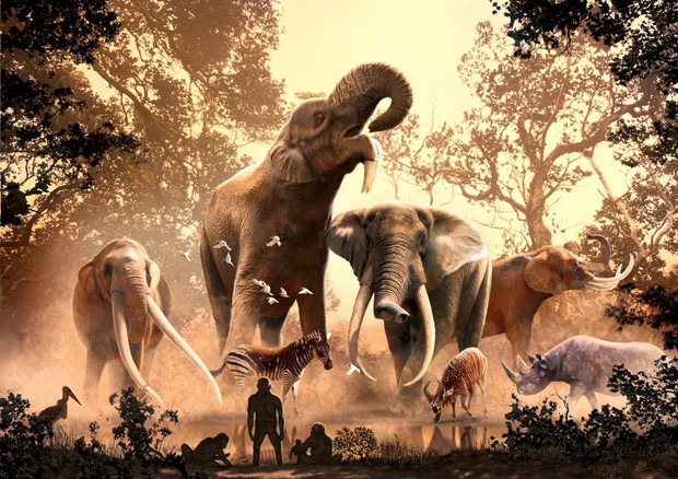 Gli antenati degli elefanti decimati dai cambiamenti climatici (fonte: Julius Csotonyi) © Ansa