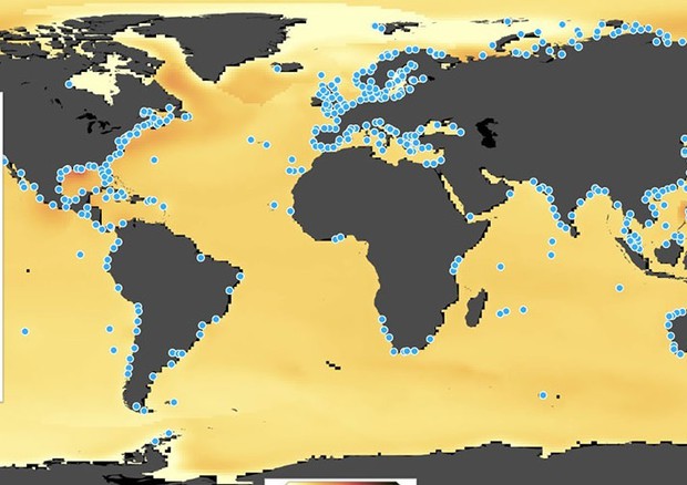 Particolare della mappa interattiva sul livello dei mari elaborata dalla Nasa sulla base dei dati satellitari (fonte: NASA/JPL-Caltech) © Ansa