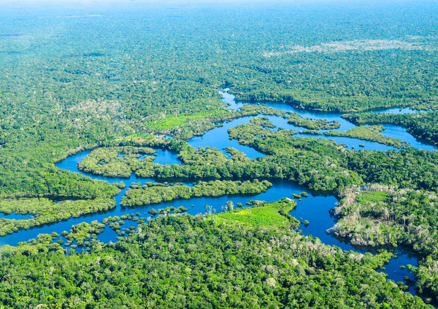 Vista aerea della foresta amazzonica nella zona di Manaus (fonte: Neil Palmer/CIAT da Flickr) © Ansa