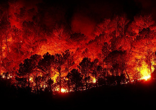 Le sostanze inquinanti emesse dagli incendi boschivi minacciano il Mediterraneo (fonte: Pixabay) © Ansa