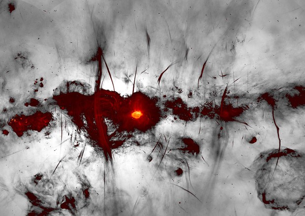 Le strutture filamentose al centro della Via Lattea, viste dal radiotelescopio MeerKAT (fonte: I. Heywood, SARAO) © Ansa