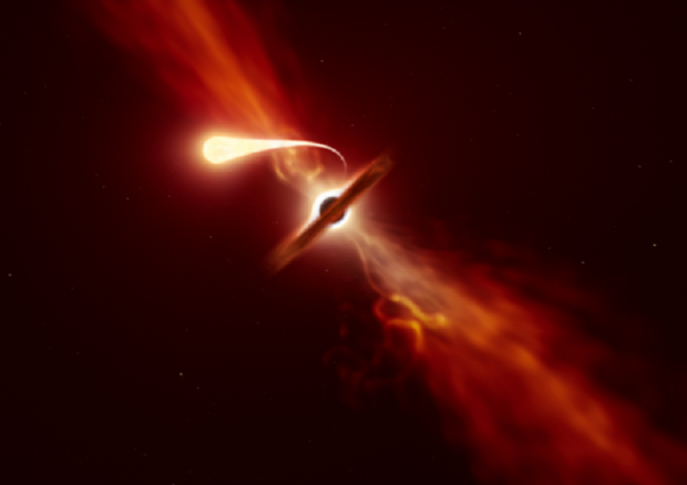 Sullo sfondo la stella divorata dal un buco nero supermassiccio (fonte: ESO/M. Kornmesser) © Ansa