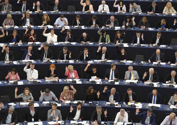 All’Europarlamento lo stress test per il Green Deal © AFP