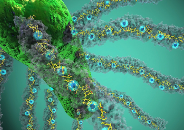 Il citocromo OmcS nei nanofilamenti prodotti dai batteri (fonte: Ella Maru Studio) © Ansa