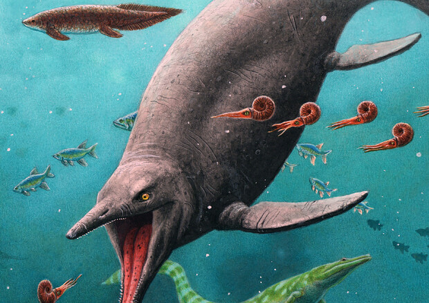 Ricostruzione artistica del più antico rettile marino, vissuto 250 milioni di anni fa (fonte: Esther van Hulsen) © Ansa